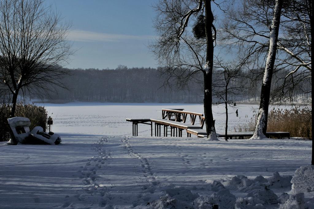 Stajnia Sarnówek Rozajny Wielkie Exterior foto