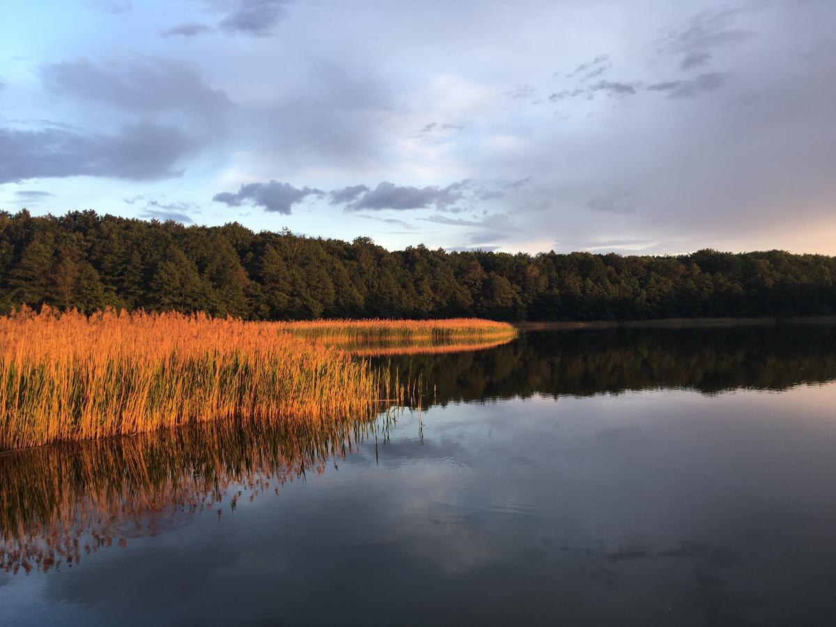 Stajnia Sarnówek Rozajny Wielkie Exterior foto